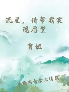流星，请帮我实现愿望