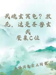 武魂玄冥龟？放屁，这是圣兽玄武